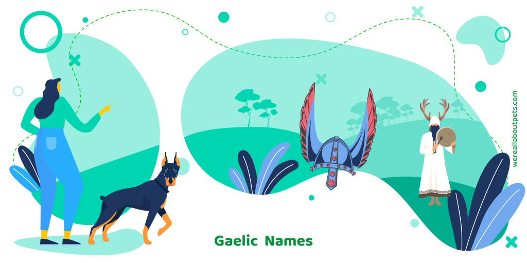 Gaelic Dog Names