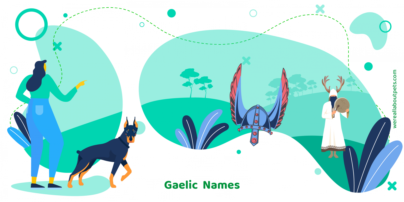 100 GAELIC DOG NAMES We re All About Pets 100 GAELIC DOG NAMES We re All About Pets