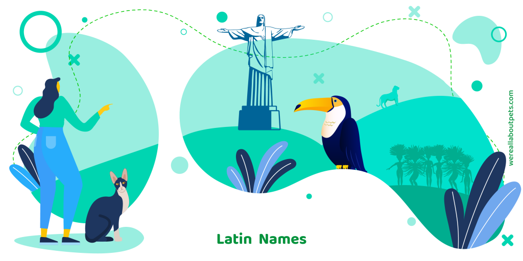 Latin Cat Names