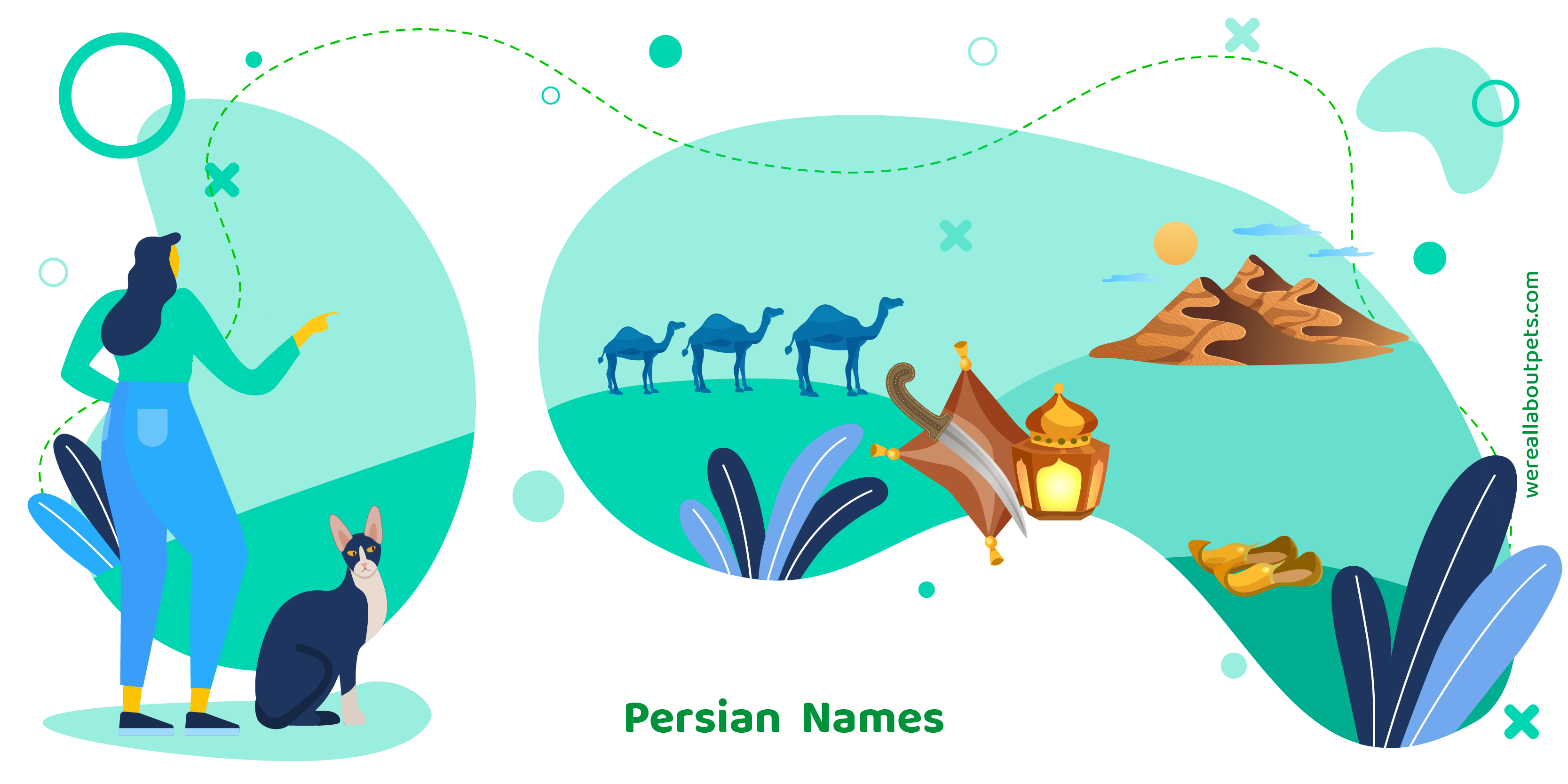 98 Persian Cat Names We Re All About Pets