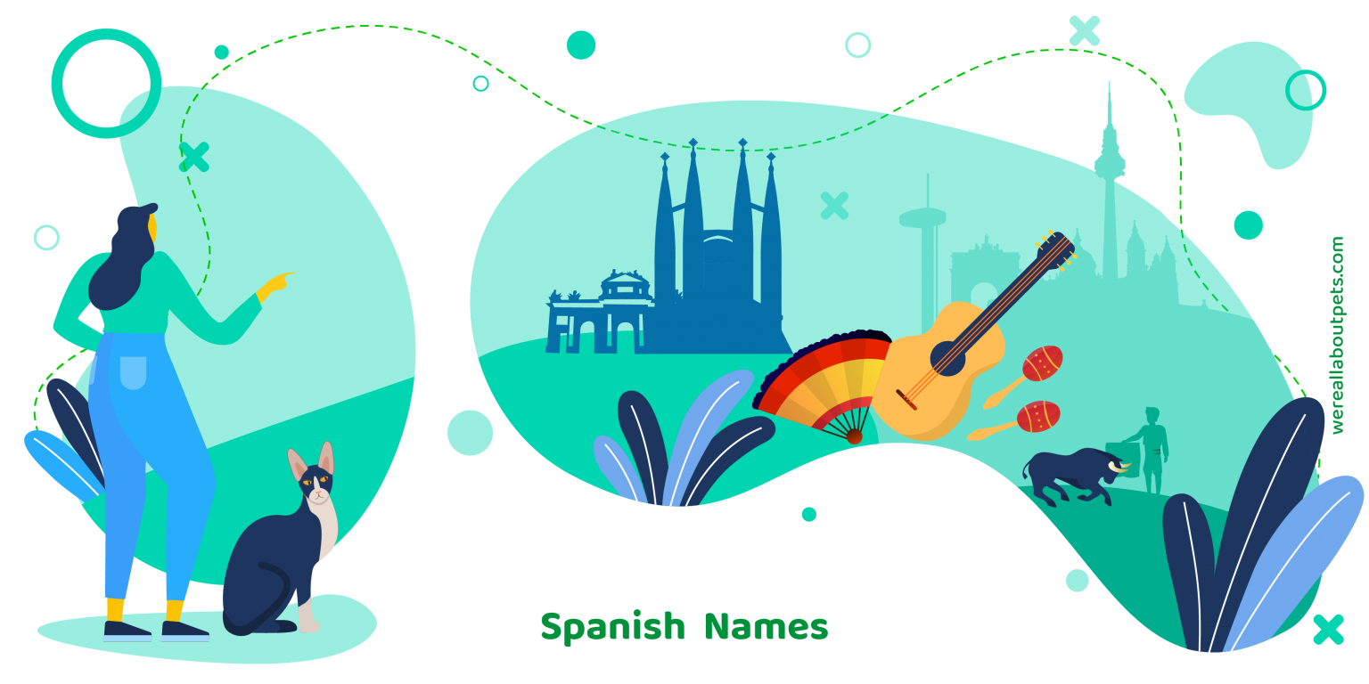 95 SPANISH CAT NAMES We're All About Pets