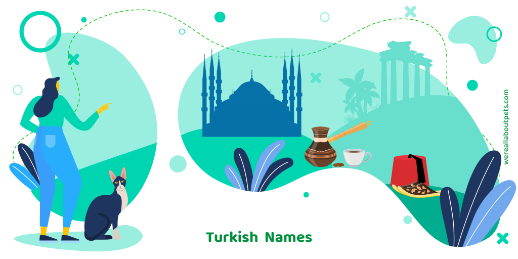 Turkish Cat Names