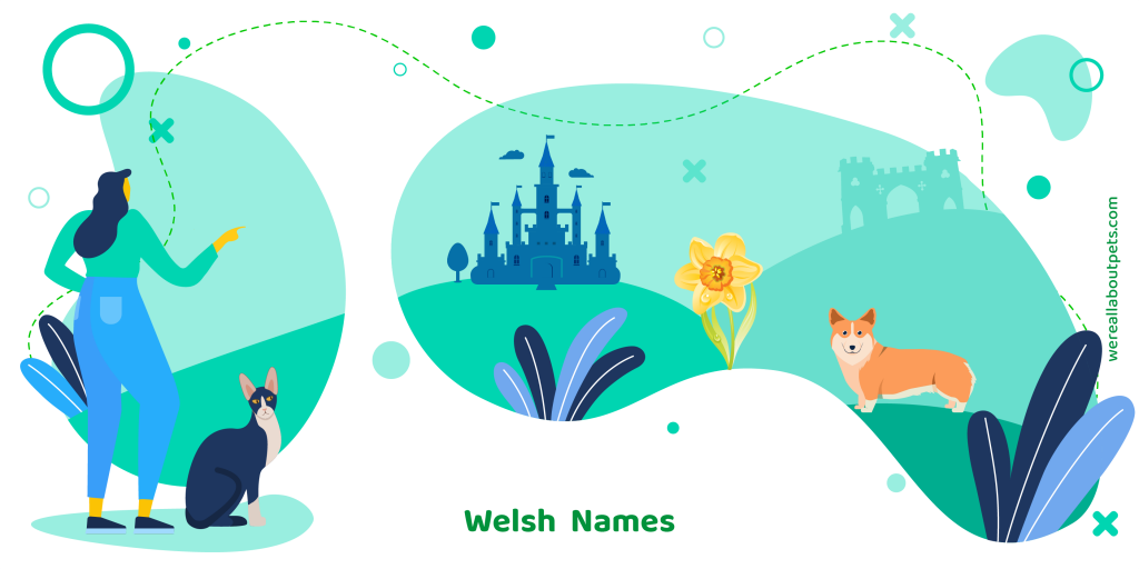 Welsh Cat Names