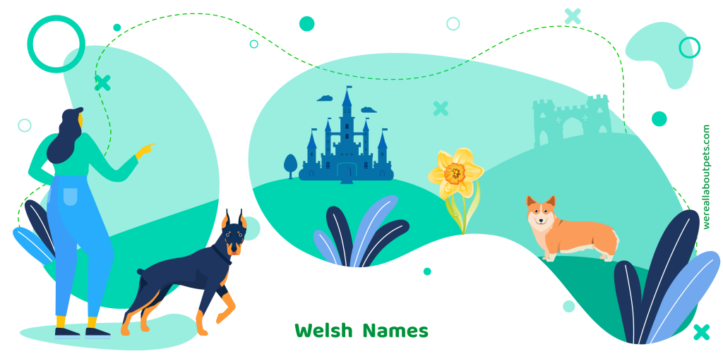 Welsh Dog Names