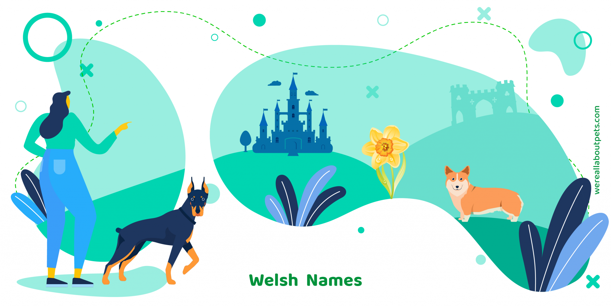 101 WELSH DOG NAMES We're All About Pets
