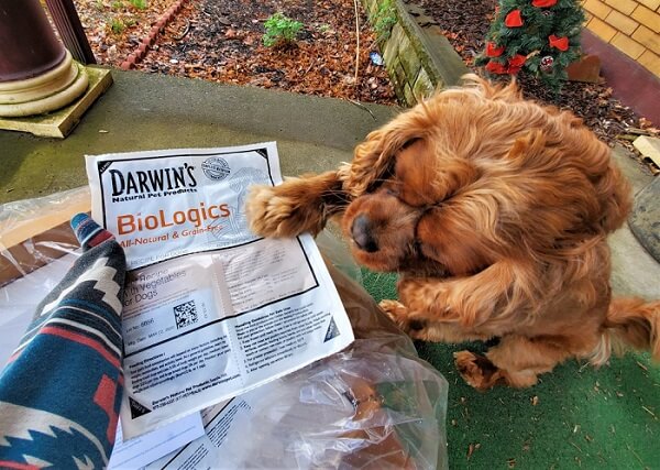 Darwin’s Natural Pet Products Darwin’s Natural Pet Products
