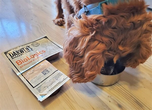 Darwin’s Natural Pet Products Darwin’s Natural Pet Products