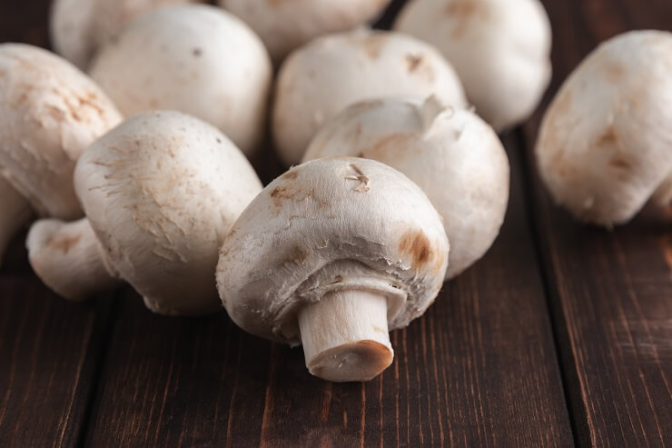 Can Guinea Pigs Eat Mushrooms We re All About Pets