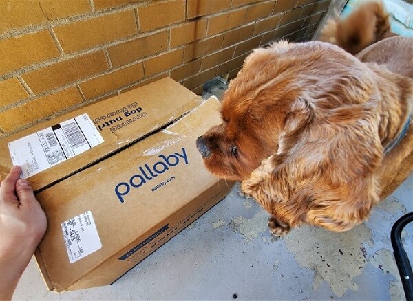 Pallaby Dog Food Pallaby Dog Food