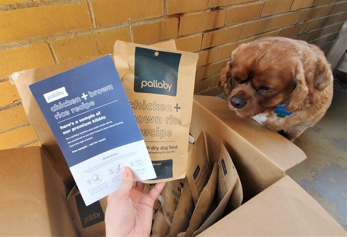 it's all about dog food