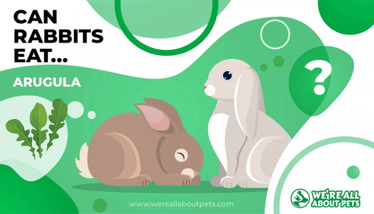 Can Rabbits Eat Arugula?