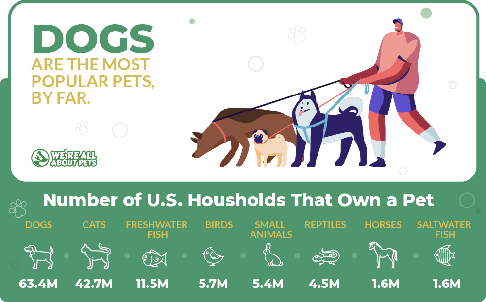 54 Powerful Pets Statistics You Need To Know In 2021 - We're All About Pets