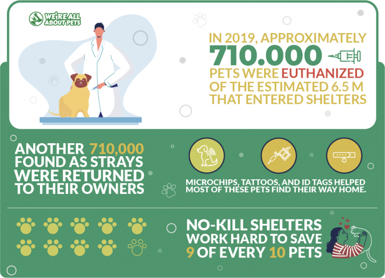54 Powerful Pets Statistics You Need To Know In 2021 We're All About Pets