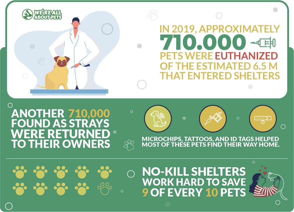 Euthanization statistics