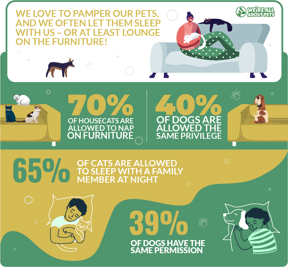 Pampering our pets statistics