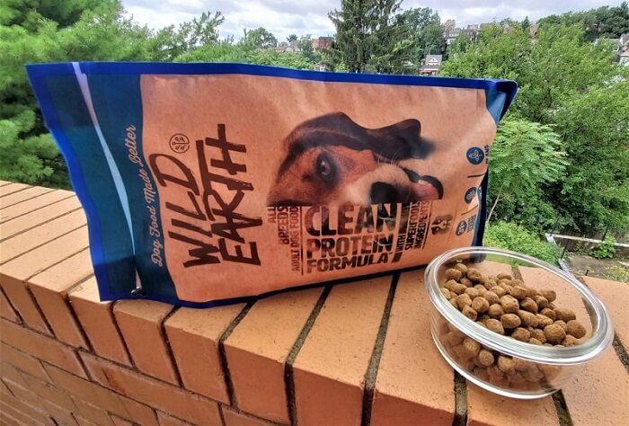 Wild Earth Dog Food Review 2022 - We're All About Pets