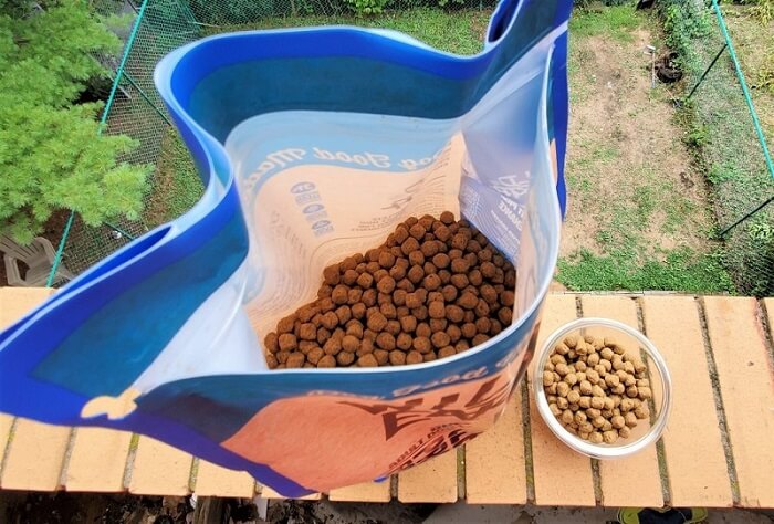 Wild Earth Dog Food Review 2020 - We're All About Pets