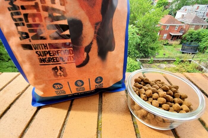 Wild Earth Dog Food Review 2022 - We're All About Pets