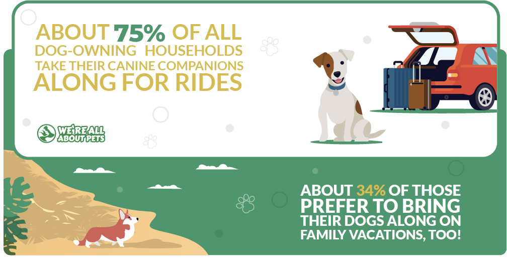 dogs and exciting adventures with their family statistics