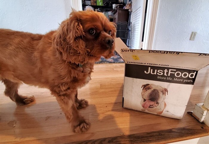 Just Food for Dogs Just Food for Dogs