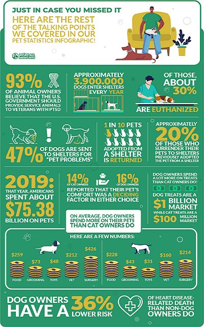 pet statistics infographic
