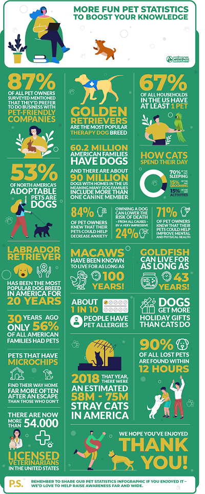 Fun pet trivia statistics infographic