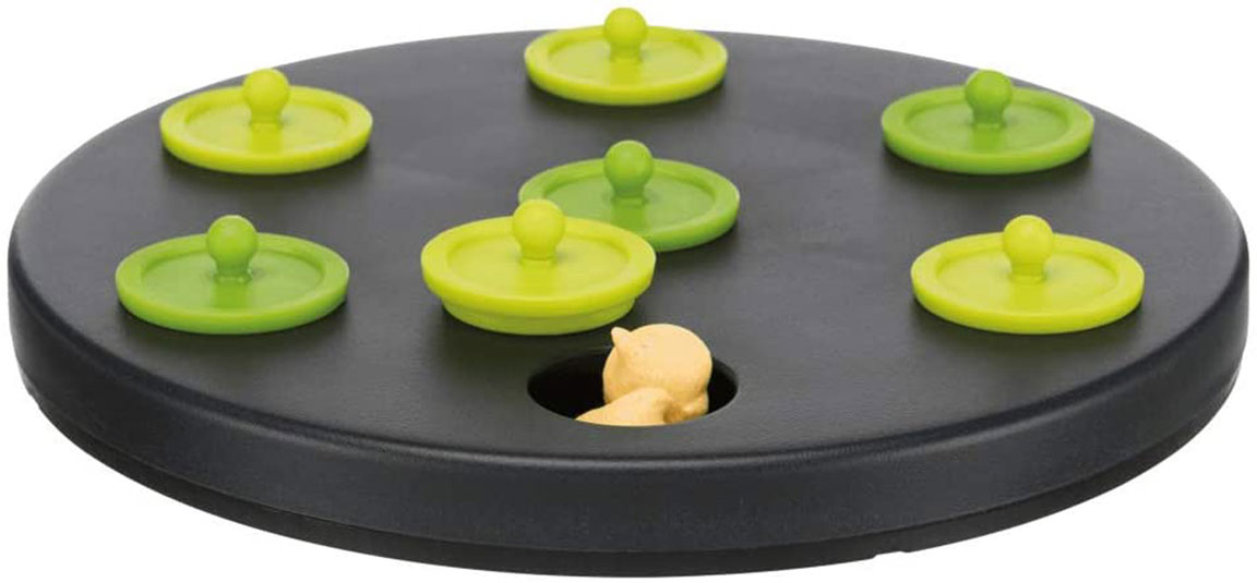 The 6 Best Toys For Rabbits In 2021 We're All About Pets