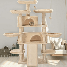 The 10 Best Cat Trees For Large Cats We Re All About Pets