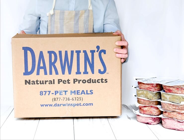 27 Top Images Darwin S Cat Food Price Darwin S Natural Pet Products