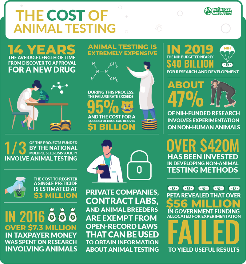 animal experiments are expensive and time consuming