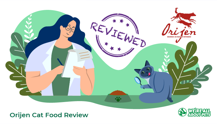 Orijen Cat Food Review We Re All About Pets