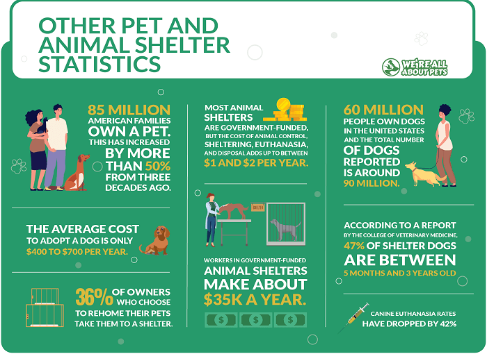 55 Powerful Animal Shelter Statistics We're All About Pets