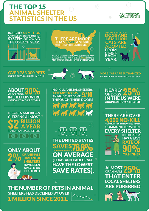 55 Powerful Animal Shelter Statistics We're All About Pets