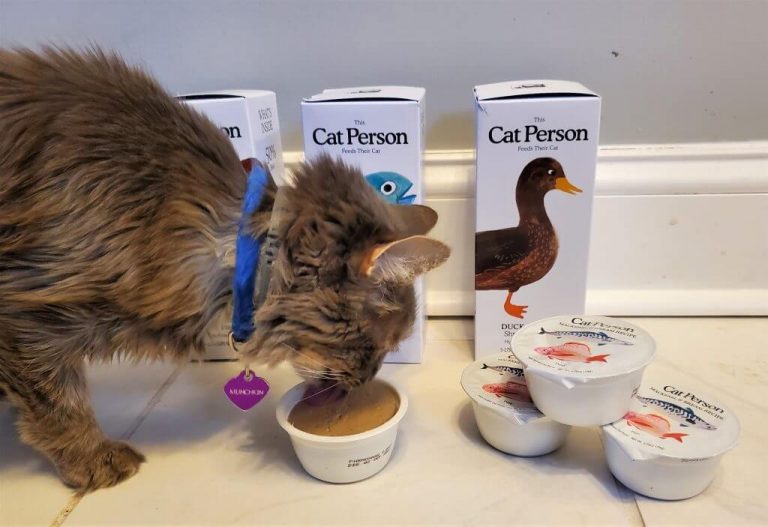 Cat Person Cat Food Review We're All About Pets