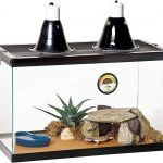 Zilla Desert Reptile Terrarium Starter Kit with Light and Heat