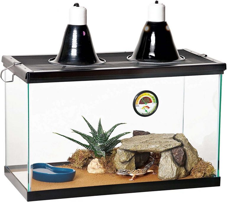 Zilla Desert Reptile Terrarium Starter Kit with Light and Heat