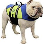 Paws Aboard Dog Life Jacket, Neoprene Dog Life Vest