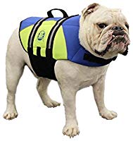 Paws Aboard Dog Life Jacket, Neoprene Dog Life Vest