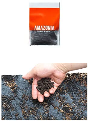 ADA Aqua Soil Amazonia Substrate