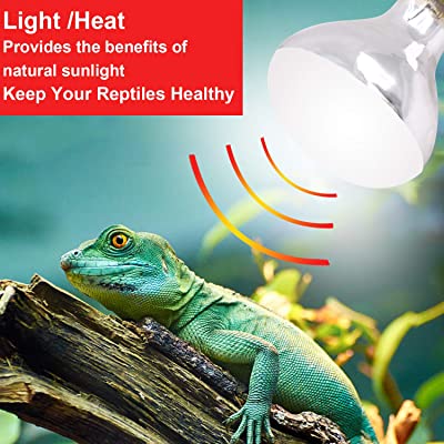 AIICIOO Reptile Light
