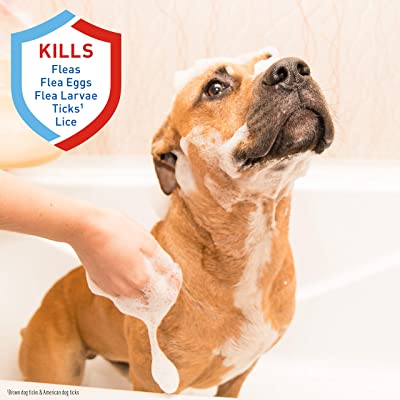 Adams Plus Flea & Tick Shampoo
