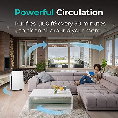 Alen BreatheSmart Classic Pet Dander/Odor Large Room Air Purifier