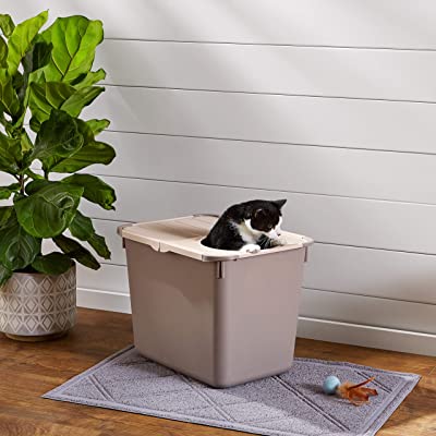 Amazon Basics Hooded Cat Litter Box