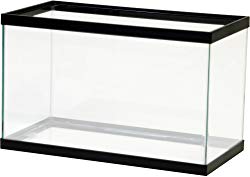 Aqueon Standard Glass Rectangle Aquarium