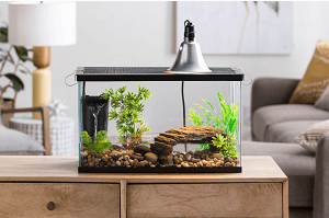 Aquarium Starter Kit Fish Reptile Turtle Habitat Tank Filter Lamp Lid