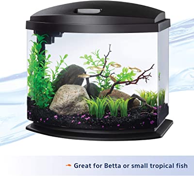 Aqueon LED MiniBow Aquarium Kit with SmartClean Technology