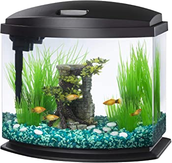 Aqueon LED MiniBow Aquarium Kit with SmartClean Technology