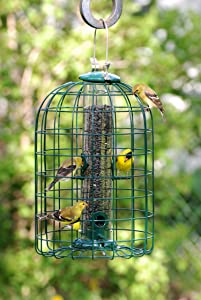 Audubon Squirrel Proof Caged Tube Type Bird Feeder Model NATUBE3