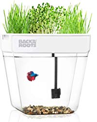 Back to the Roots Water Garden Deluxe Tank