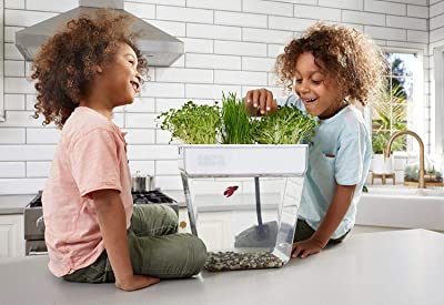 Back to the Roots Water Garden Deluxe Tank